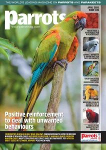Parrots - 04.2026