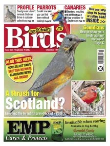 Cage & Aviary Birds - 10.09.2025
