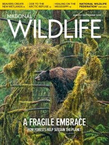 National Wildlife - 08/09 2020