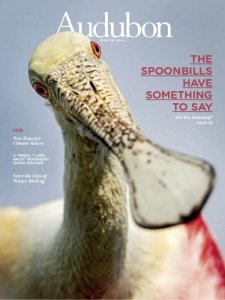 Audubon - Winter 2022
