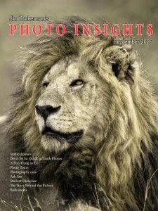 Photo Insights - 09.2026