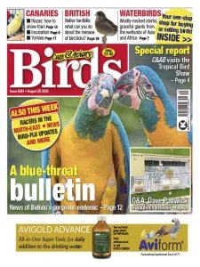Cage & Aviary Birds - 20.08.2025