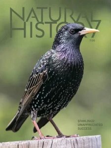 Natural History - 07.2026