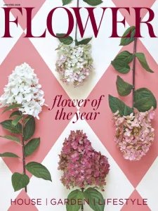 Flower - 01/02 2026