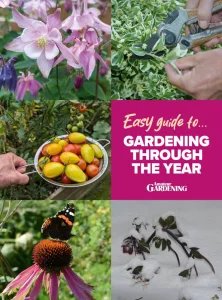 Amateur Gardening Easy Guide To - Gardening Through The Year 2025