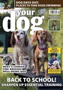 Your Dog - 09.2025