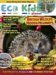 Eco Kids Planet - 11.2025
