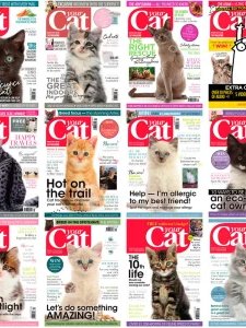 Your Cat - 2019 Full Year