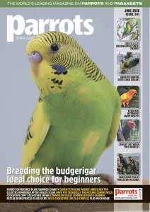 Parrots - 06.2026