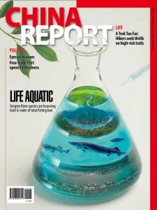China Report - 02.2026