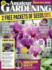 Amateur Gardening - 1.11.2025