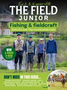 The Field Junior - Is. 3 2026