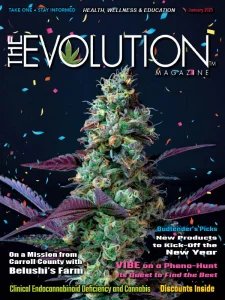 The Evolution - 01.2025