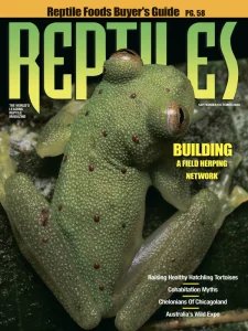 Reptiles - 09/10 2026