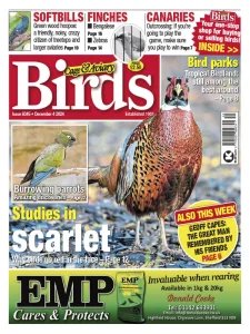 Cage & Aviary Birds - 4.12.2024