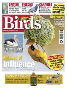 Cage & Aviary Birds - 12.11.2025