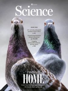 Science - 28.05.2026