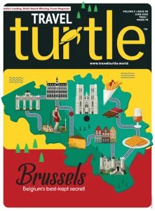 Travel Turtle - 06.2025