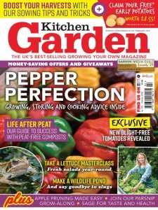 Kitchen Garden - 02.2025