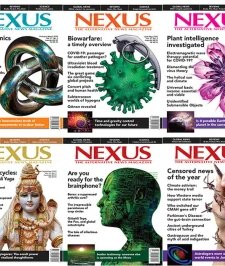 Nexus - 2020 Full Year