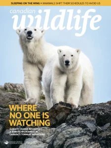 Canadian Wildlife - 01/02 2026