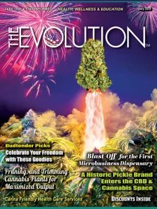 The Evolution - 07.2025
