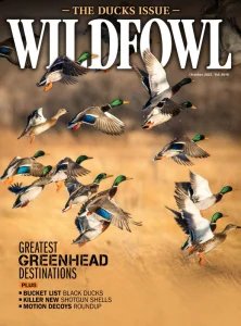 Wildfowl - 10.2025