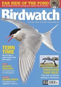 Birdwatch UK - 04.2026