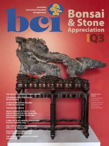 BCI Bonsai & Stone Appreciation - 07/09 2025