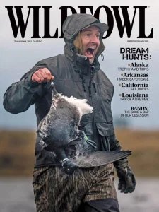 Wildfowl - 11.2025