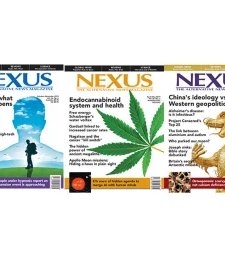Nexus - 2019 Full Year