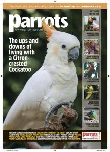 Parrots - 07.2026