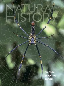 Natural History - 06.2026