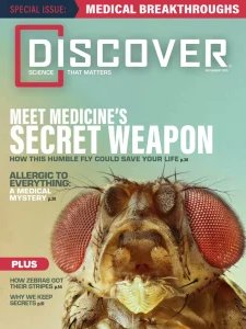 Discover - 07/08 2025