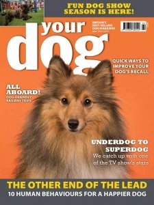 Your Dog - 04.2025