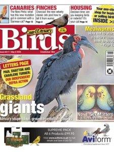 Cage & Aviary Birds - 6.05.2026