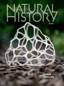 Natural History - 10.2025