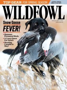 Wildfowl - 02.2026