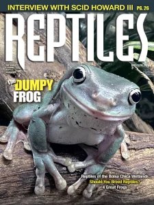 Reptiles - 05/06 2026