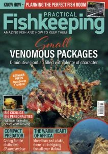 Practical Fishkeeping - 10.2026