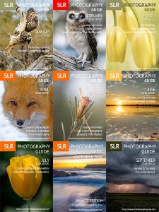 SLR Photography Guide - 2018 Full Year